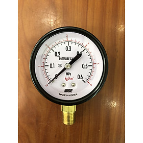 Mua Dụng cụ đo áp suất P110-60A - dãy đo Mpa / Kgf/cm2
