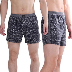 Combo 2 quần đùi nam Narsis S8126