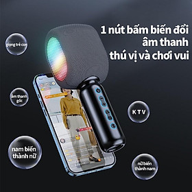 Mua Micro Không Dây Bluetooth compatible Karaoke Professional Speaker Home Handheld DJ Microphone