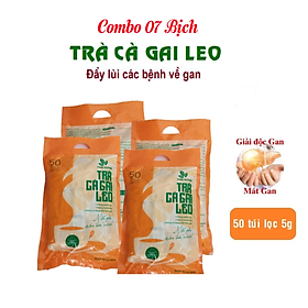 Combo 07 Bịch Trà Cà Gai Leo Thái Hưng 50 túi lọc x 5g