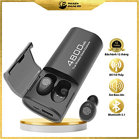 Mua Tai Nghe Bluetooth 5.0  FLOVEME F11 - Tích Hợp Sạc Dự Phòng 4800mah - Chống nước IPX7  - Chống ồn CVC 8.0 - Hàng chính hãng