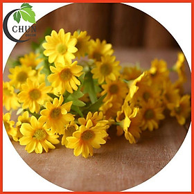 Mua Hoa giả - Cành cúc hoạ mi 15 bông cao cấp dài 62cm trang trí nhà cửa  văn phòng  cửa hàng  lớp học