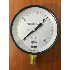 Dụng cụ đo áp suất P110-100A - dãy đo Kgf/cm2