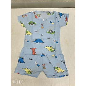 Bộ lanh  bé trai loại 1,chất mịn size 3-20kg