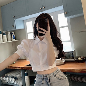 áo sơ mi nữ kiểu croptop cộc tay cổ đức phối nẹp gấu bản to nữ tính