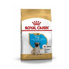 Thức ăn cho chó Royal Canin Pug Puppy 1,5k