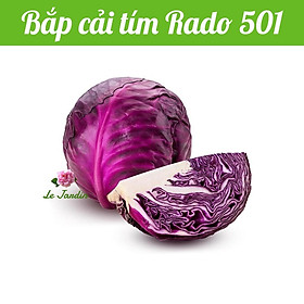 Hạt giống bắp cải tím Rado 501 gói 0,5gr - Chịu nhiệt dễ trồng