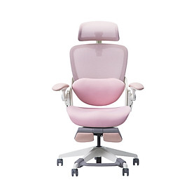 Mua Ghế công thái học Epione Easy Chair 2.0 - Hàng Chính Hãng