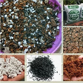 Mua Đất trồng sen đá - xương rồng và cây phong thủy để bàn  cây trồng trong nhà  cây văn phòng