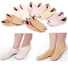 Combo 10 đôi vớ hài nữ cổ thấp mang trong nhà