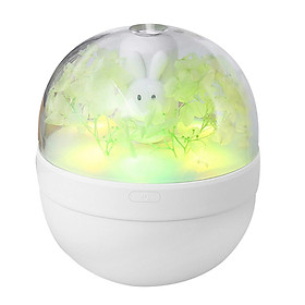 Cool Mist Humidifier, 220ml Water Tank USB Lasts Up to 6 Hours, 7 Color LED Lights Changing, Waterless Auto Shut-Off for Bedroom, Home, Office