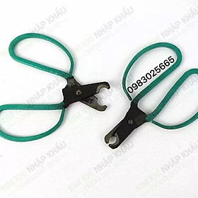Mua Kéo khoanh vỏ cây chiết cành