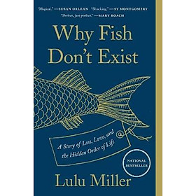 Ảnh bìa Why Fish Don't Exist