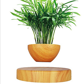 Chậu cây bonsai nam châm lơ lửng trang trí bàn làm việc (Không bao gồm cây)