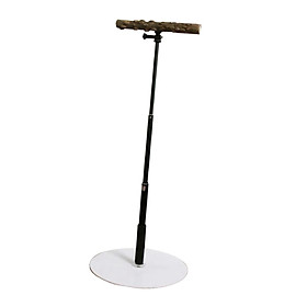 T Stand Parrot Training Playstand Playground Perches Bird Perch for Finch, Lovebirds, Parakeets, Bird Cage Accessories