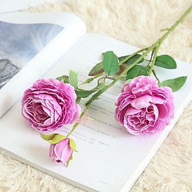Mua -Hoa hồng mẫu đơn lụa cao cấp cành lớn 2 bông 1 nụ dài 61cm trang trí nội thất  nhà cửa decor