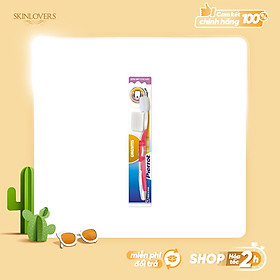 Bàn chải đánh răng siêu mềm chống viêm nướu PIERROT GINGIVITIS