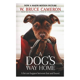 Nơi bán A Dog\'s Way Home: The Heartwarming Story of the Special Bond Between Man and Dog (Paperback) - Giá Từ -1đ