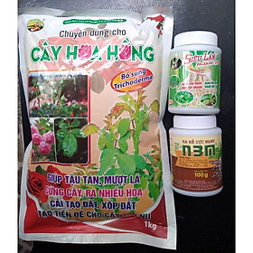 Bộ 3 phân bón kích rể cực mạnh cho cây Hoa Hồng