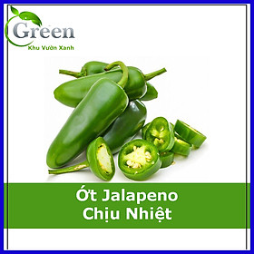 Mua Hạt Giống Ớt Jalapeno Chịu Nhiệt Sai Trái (20H)