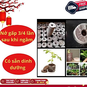 Set 20 viên nén ươm hạt sơ dừa dùng cho hạt giống