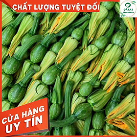 Mua Hạt Giống Rau Bí Siêu Nụ Giòn Ngọt  nhiều dinh dưỡng