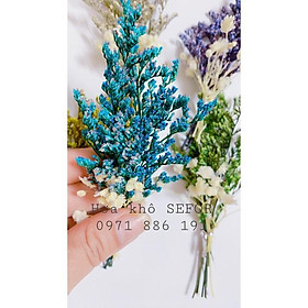Mua ️️ Bó hoa khô mini trang trí  chụp ảnh sản phẩm