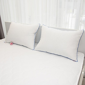 Mua Ruột gối gòn Bi kích thước 50 x 70 cm