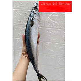 [Chỉ giao HN] - Cá Nục Nhật làm sạch -  1kg