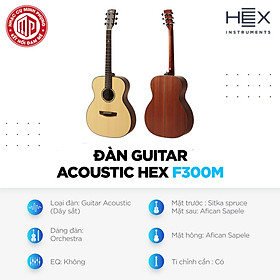 Mua Đàn Guitar Hex Acoustic F300M - Hàng chính hãng