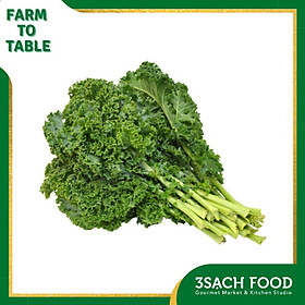 Cải xoăn Kale (250gr/gói) - Ngọn cải non, mềm, ngọt và nhiều chất dinh dưỡng - Chuẩn An Toàn VietGap
