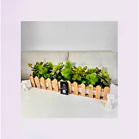 Mua Chậu cây hàng rào gỗ nâu trang trí nhà cửa  nhà hàng  cafe - Cây giả  hoa lụa Decor trang trí nhà cửa