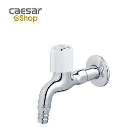 Mua Vòi Lạnh Gắn Tường - WP037C