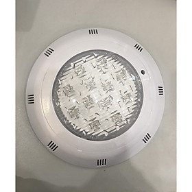 Đèn Led Hồ Bơi Ánh Sáng 7 Màu Mã JKD 1003 Loại 12W-12V Vỏ Nhựa H297*70mm - Đổi Màu Tự Động 