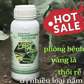 Mua Chế phẩm sinh học TRICHODERMA BACILLUS tiêu diệt các loại nấm hại 500ml-76112