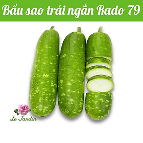 Hạt giống bầu sao trái ngắn Rado 79 gói 10 hạt