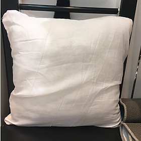 Mua Ruột gối PILLOW  45*45 A 1725