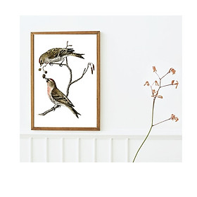 Tranh canvas treo tường Chim phong cách vintage cổ điển -common linnet bird,Tranh Canvas PVP-DC161, Có khung