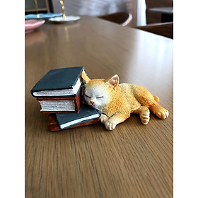 Mèo ngủ bên sách