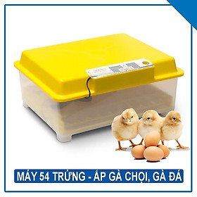 Mua MÁY ẤP TRỨNG MINI 54 TRỨNG -TỰ ĐỘNG ĐẢO -LẮP GIÁP SẴN