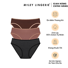 Combo 3 quần lót nữ flexi co dãn 4 chiều miley lingerie new - bcs40