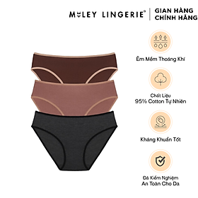 Combo 3 quần lót nữ cotton co dãn 4 chiều Flexi Miley Lingerie - Màu ngẫu nhiên