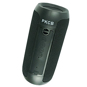 Mua Loa nghe nhạc Hỗ Trợ Kết Nối Bluetooth 5.0  Thẻ Nhớ Loa di động - PKCB - Hàng Chính Hãng