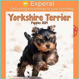 Sách - Yorkshire Terrier Puppies 2024 Calendar by  (UK edition, paperback)