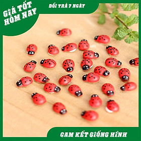 Mua Phụ kiện bọ cánh cam trang trí tiểu cảnh chậu cây hồ cá