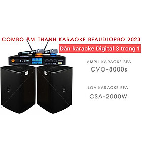 Mua Combo dàn Karaoke gia đình gồm Âm ly 3 in 1 Digital BFAudioPro CVO 8000s kết hợp Loa CSA 2000 - Hàng chính hãng