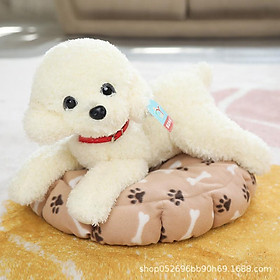 Gấu bông chó poodle nhồi bông 30cm giống thật ship HOẢ TỐC HCM cún bông lông xù dễ thương mềm mịn - White, White