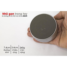 Mua Loa bluetooth cầm tay mini BS01 tiện dụng  vỏ kim loại siêu bền  nghe nhạc không dây  bass rõ ràng