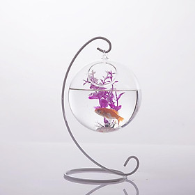 10cm Globe Hanging Glass Flower Planter Vase Terrarium Candlesticks w/ Stand