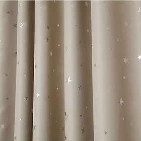 Rèm Cửa Sổ Phòng Khách (98 x 40 inch)